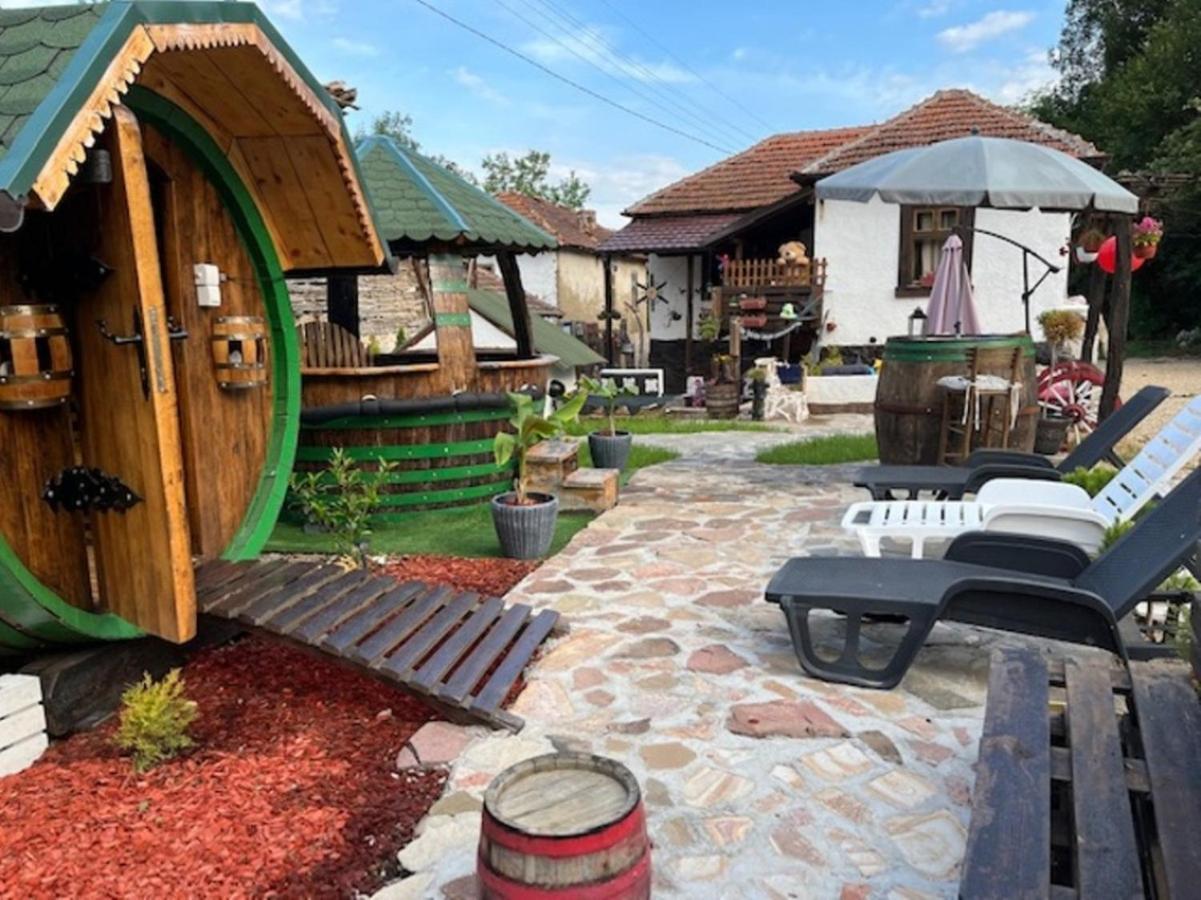 Vila Milica & Spa Aleksandra Dimitrovgrad Exterior foto