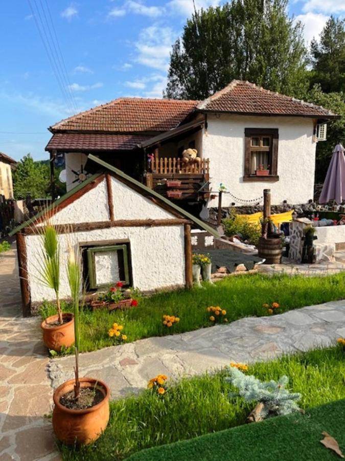 Vila Milica & Spa Aleksandra Dimitrovgrad Exterior foto